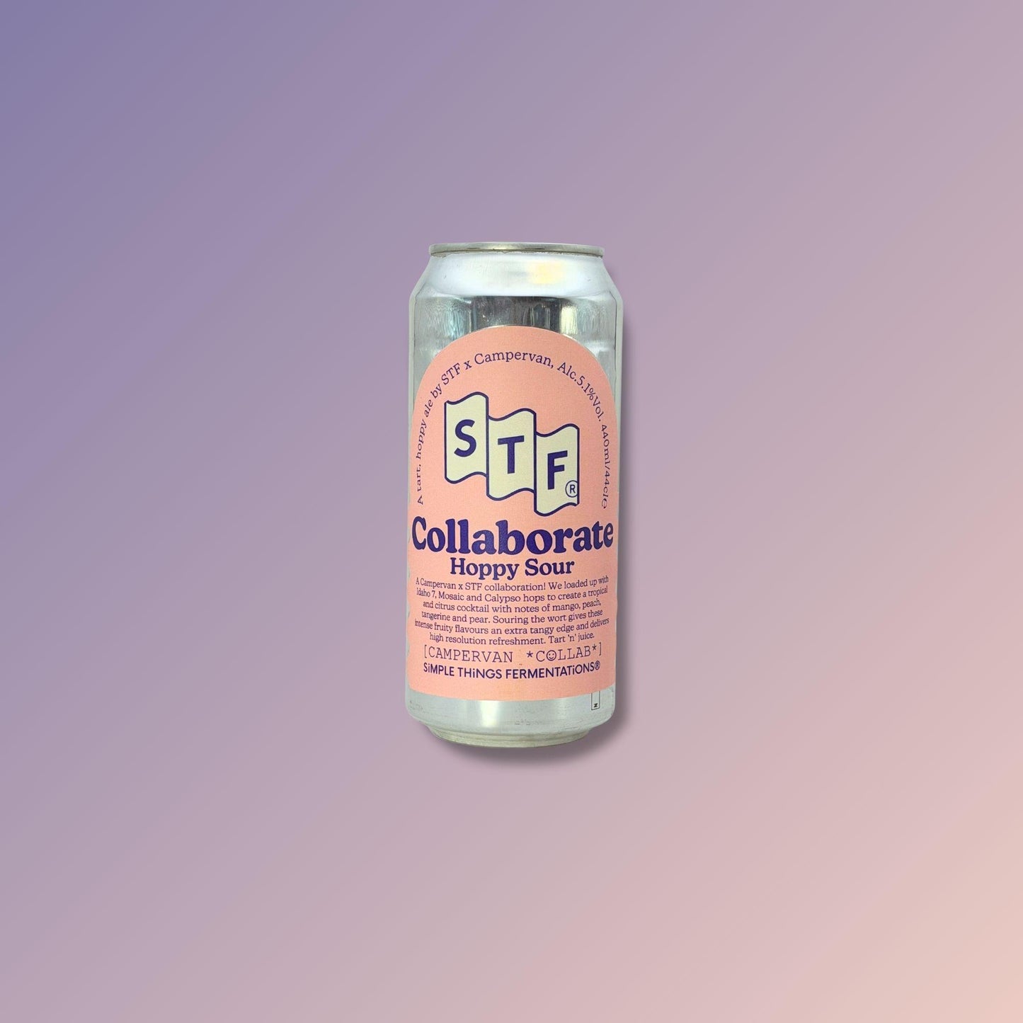 (STF x Campervan) Hoppy Sour