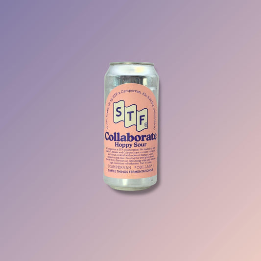 STF x Campervan - Hoppy Sour